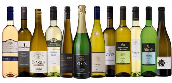 Gutedel Probierpaket mit 12 Flaschen