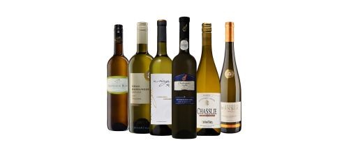 Weisswein "PREMIUM" >>>Probierpaket<<<