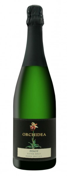 Sasbacher Winzersekt Pinot extra Brut "Edition Orchidea"